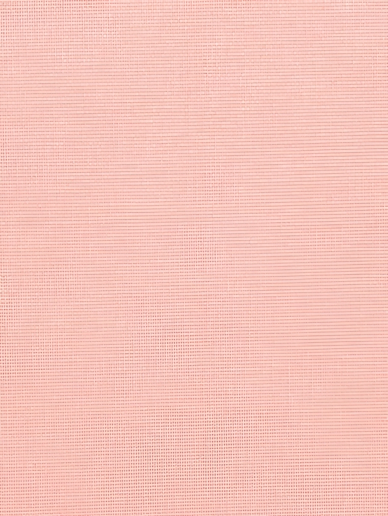 Begonia Daylight Electric Roller Blind