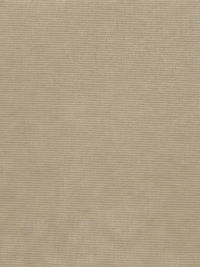 Buttered Toast Daylight Electric Roller Blind