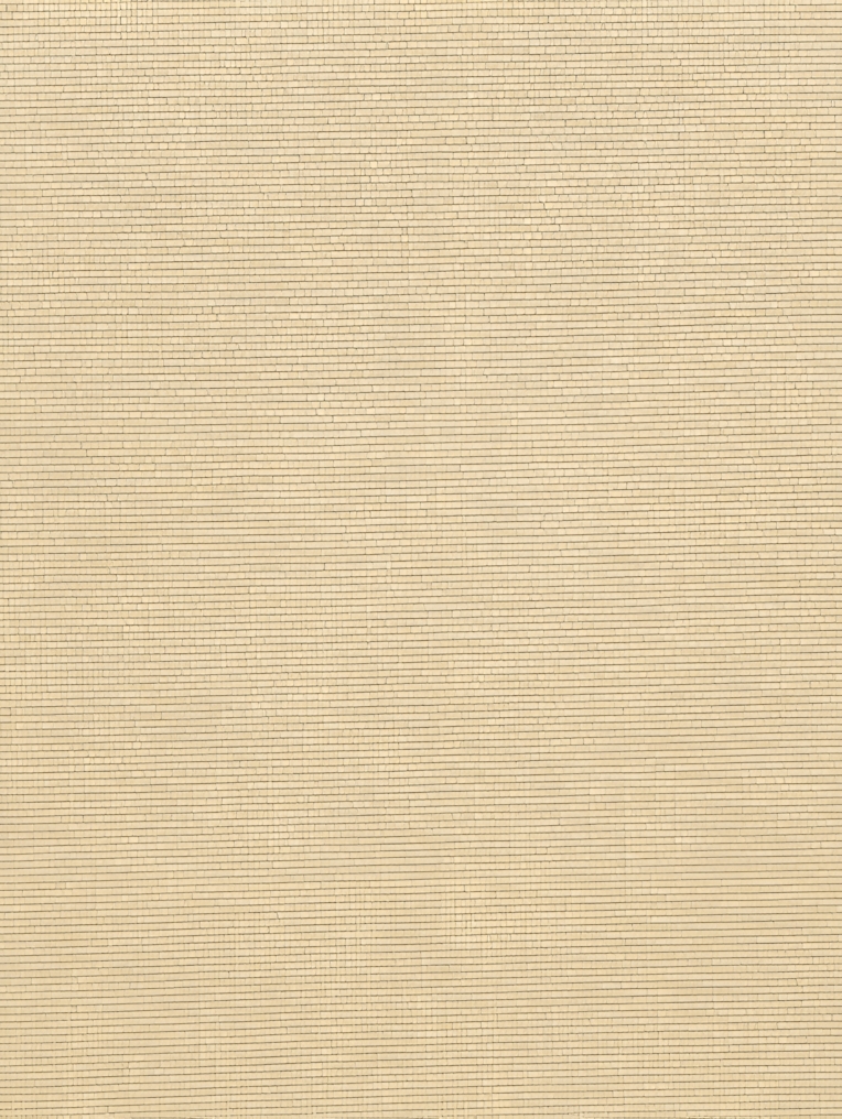 Cinnamon Daylight Electric Roller Blind