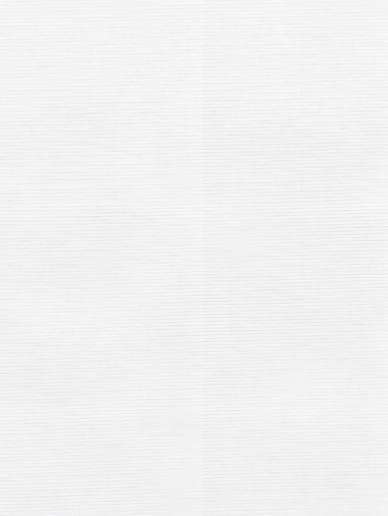 Edelweiss Daylight Electric Roller Blind