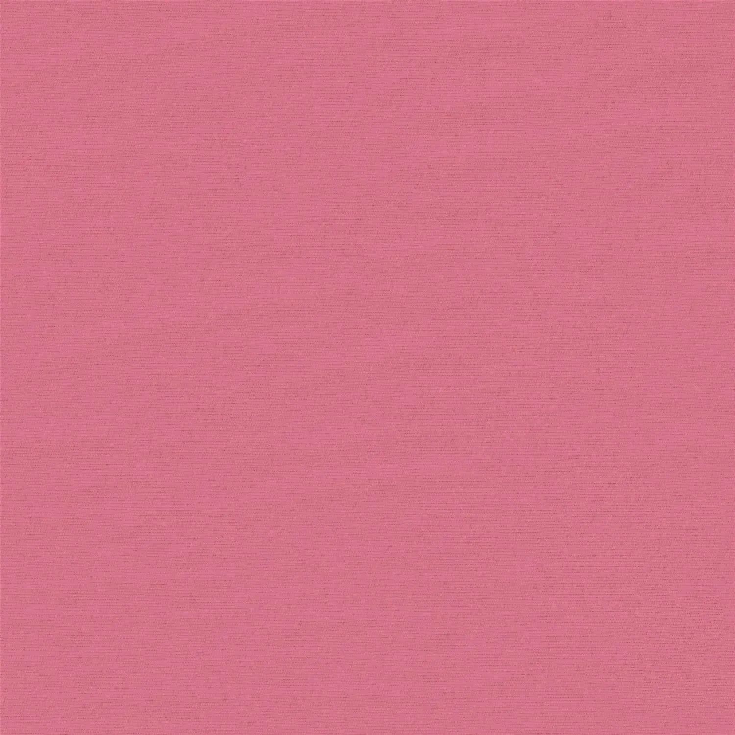 Ballgown Pink Electric Blackout Roller Blind