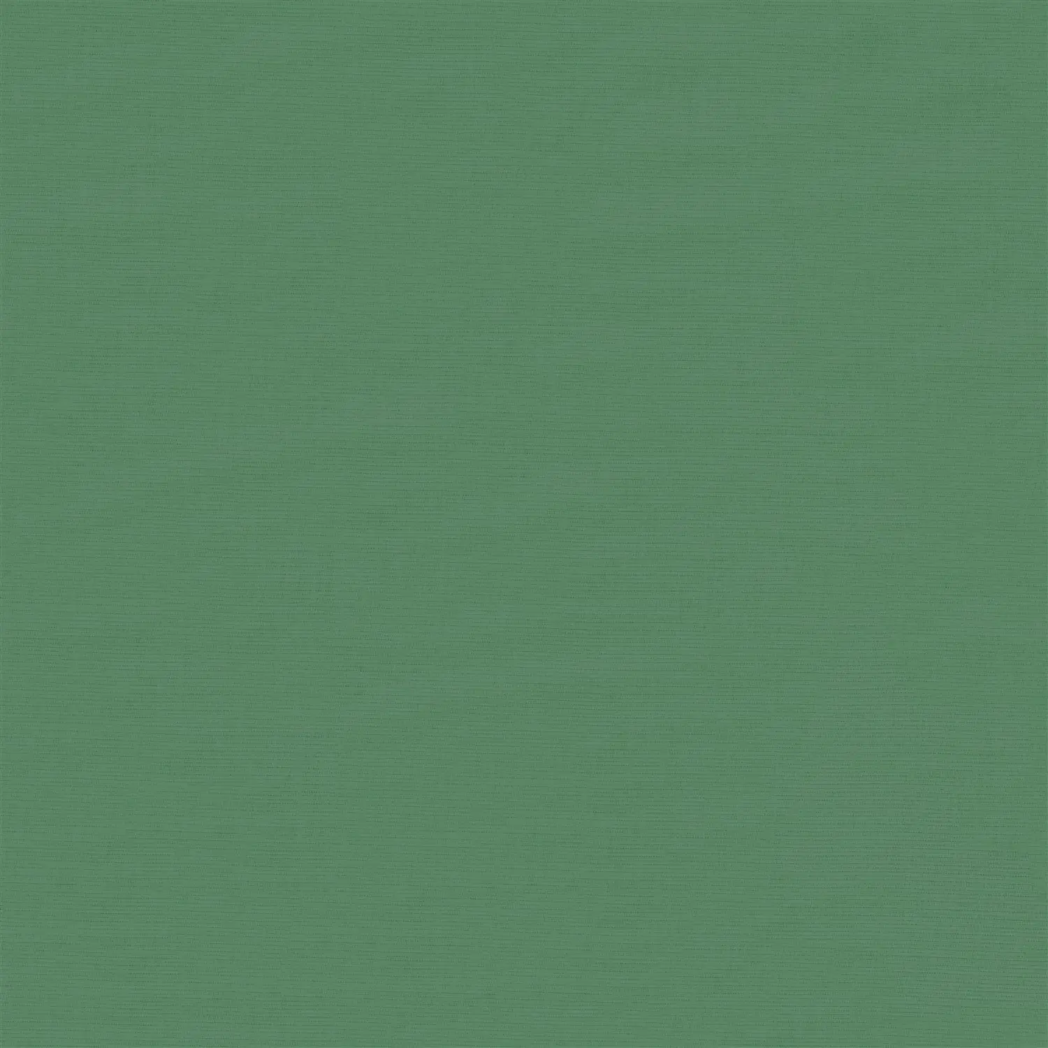 Cucumber Green Daylight Electric Roller Blind