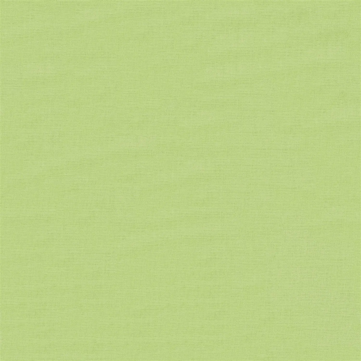 Avocado Green Daylight Electric Roller Blind