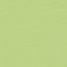 Avocado Green Daylight Electric Roller Blind