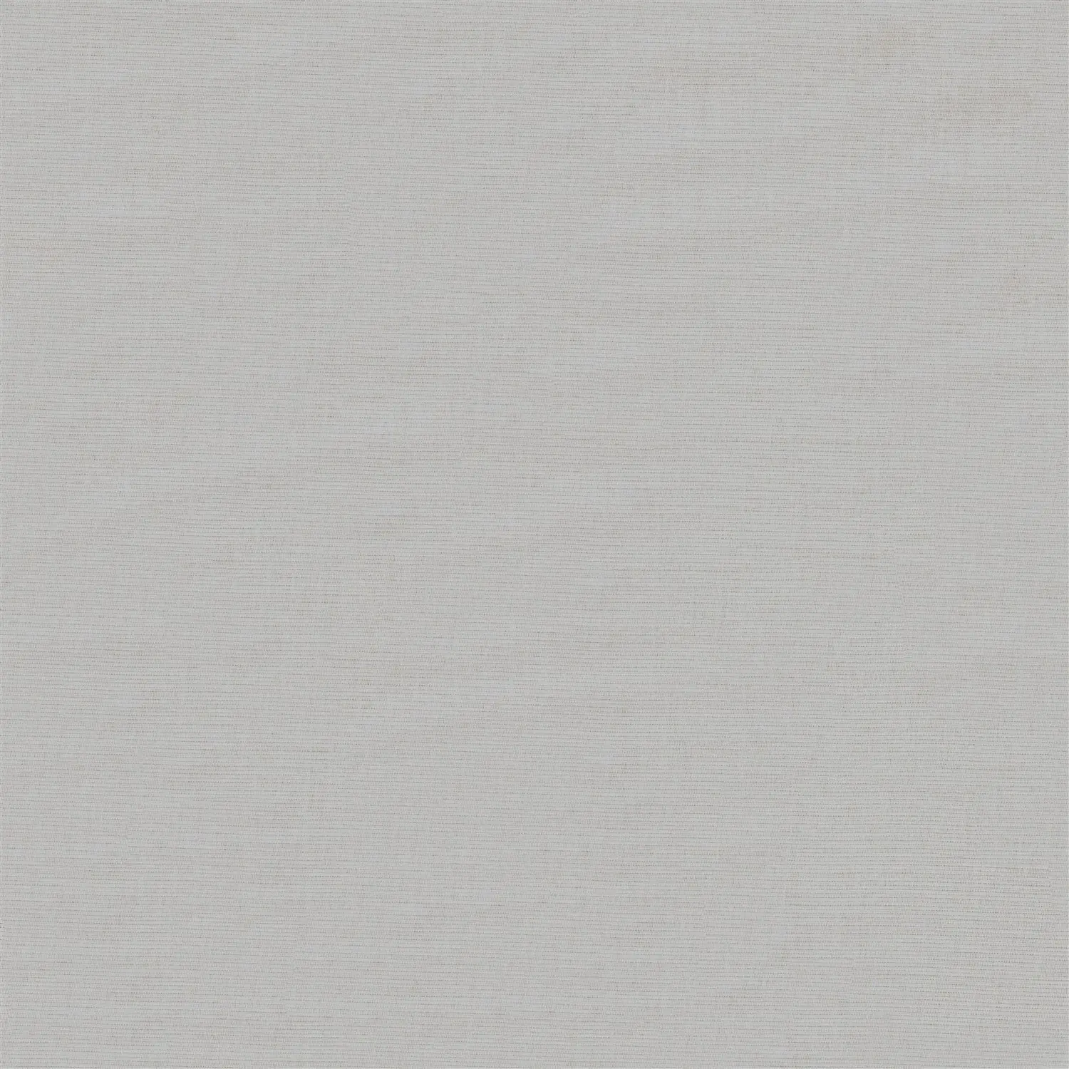 Alpine Grey Daylight Electric Roller Blind