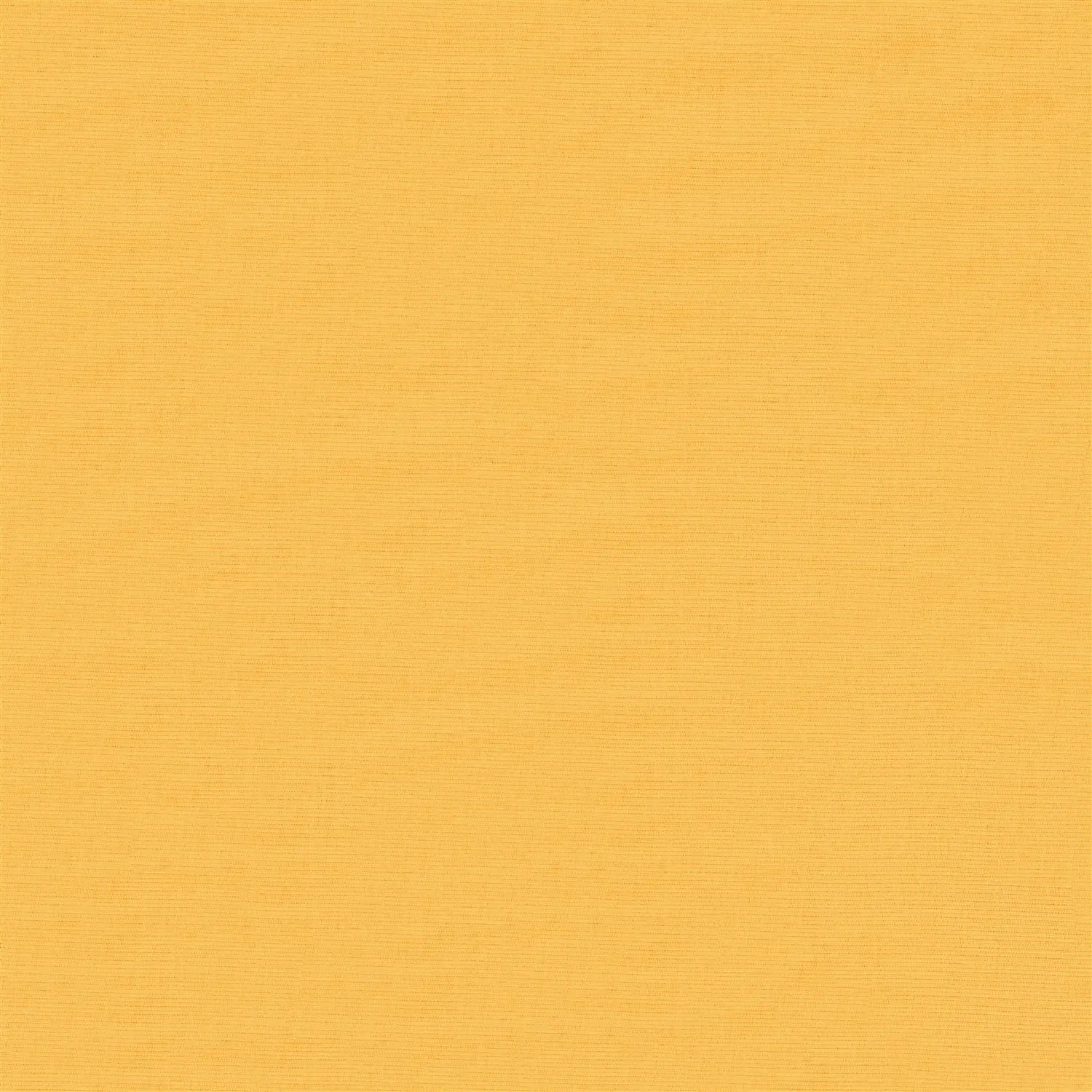 Salamander Yellow Daylight Electric Roller Blind