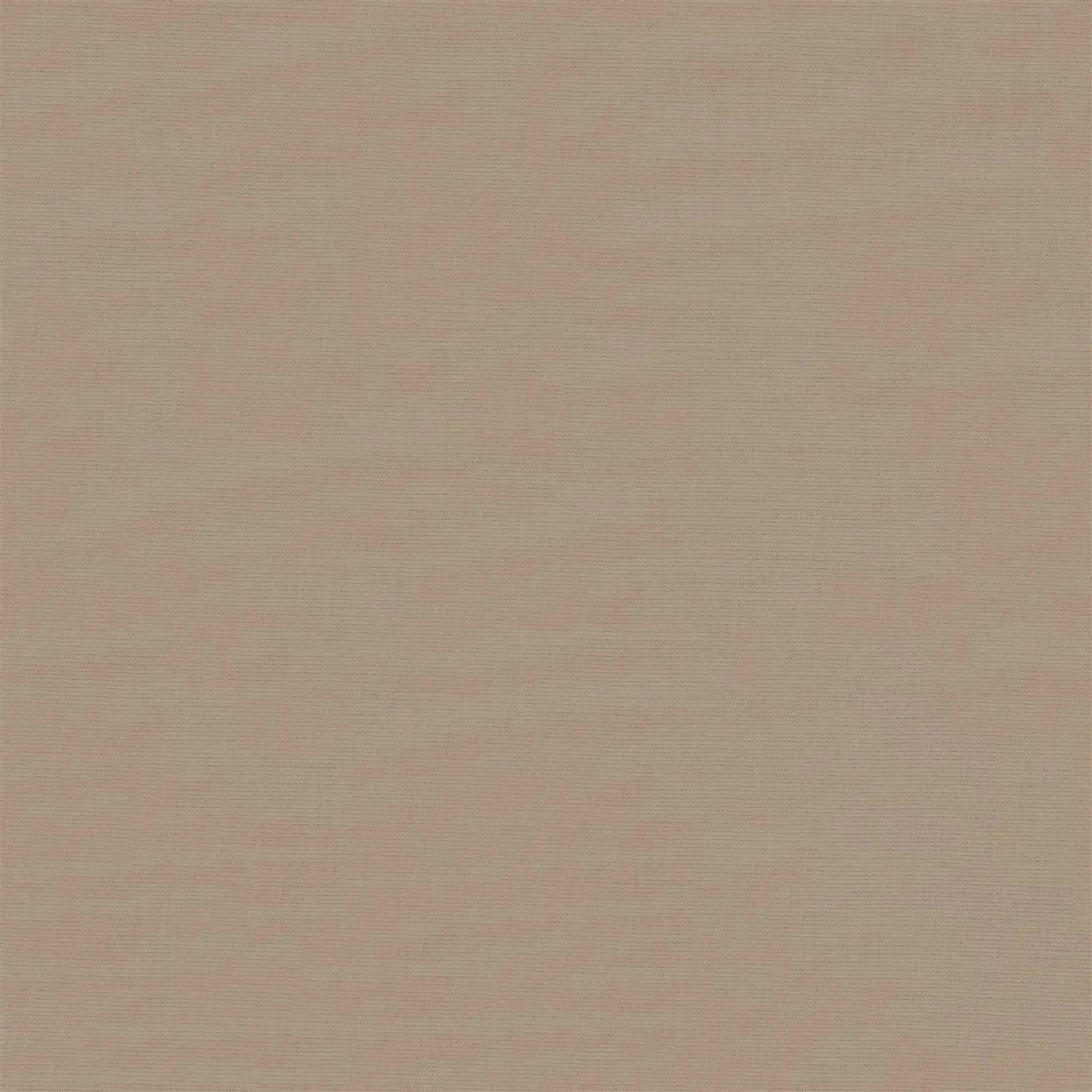 Wet Cement Daylight Electric Roller Blind