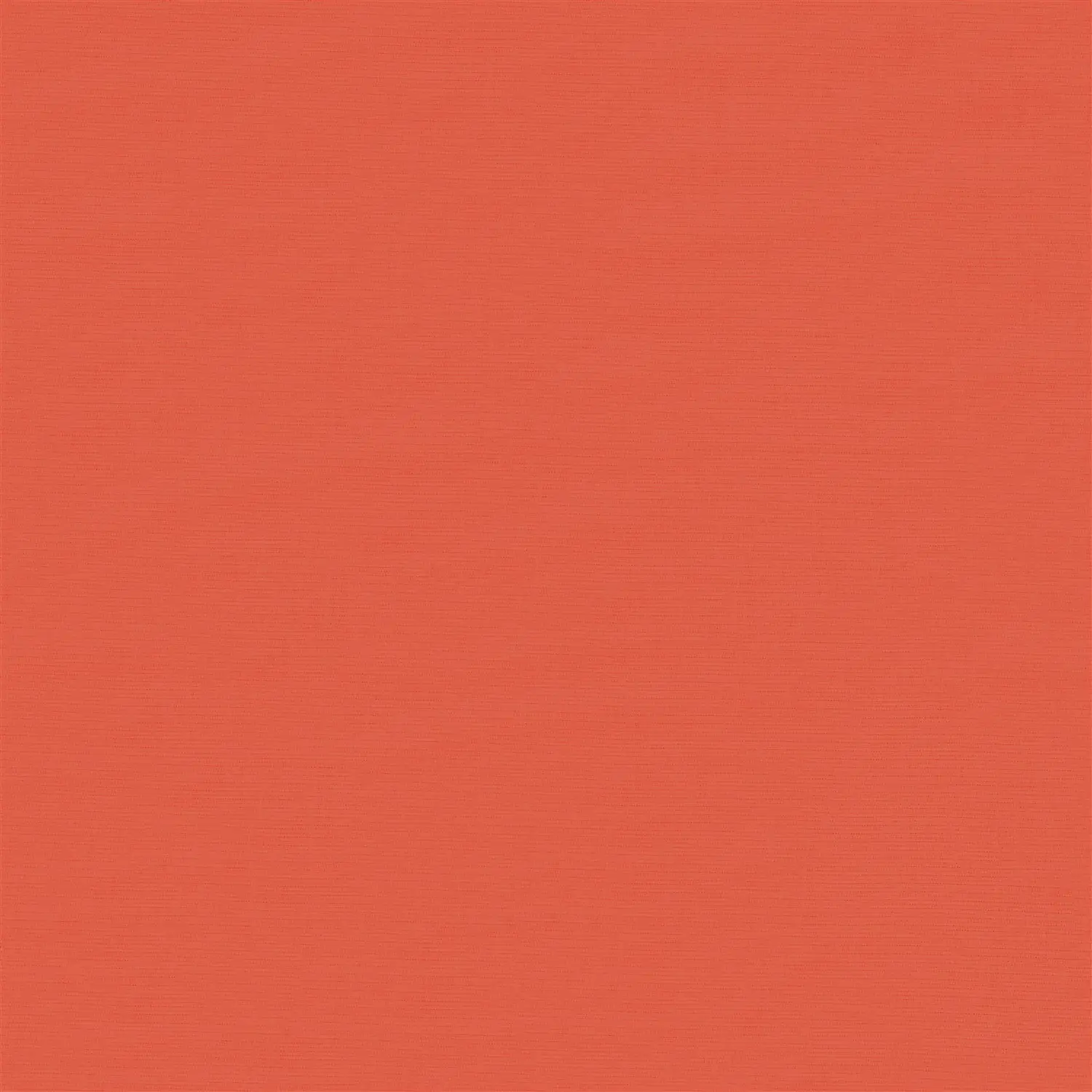 Arancia Orange Electric Blackout Roller Blind