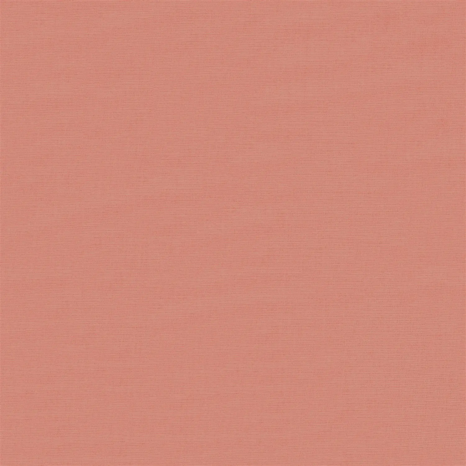 Grilled Peach Electric Blackout Roller Blind