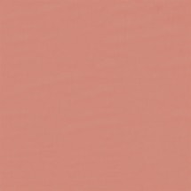 Grilled Peach Electric Blackout Roller Blind