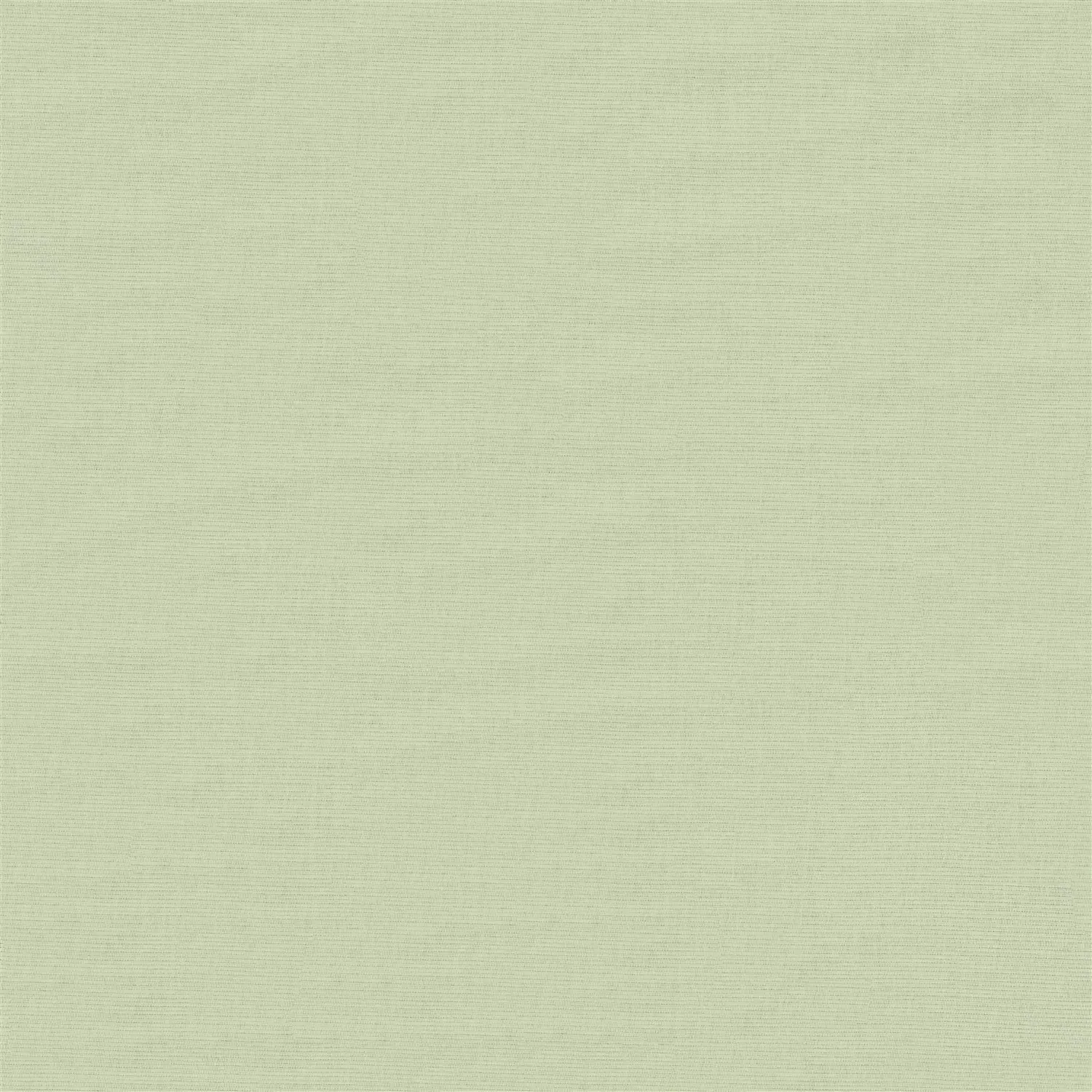 Artichoke Green Electric Blackout Roller Blind