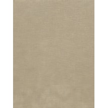 Buttered Toast Daylight Electric Roller Blind