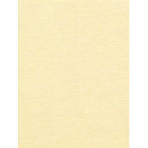 Cream Tea Daylight Electric Roller Blind