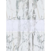 Concept Silver Electric Vision Day and Night Blind