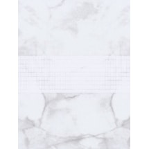 Dario Grey Electric Vision Day and Night Blind