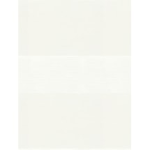 Edition Linen Electric Vision Day and Night Blind