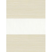 Gruppo Natural Electric Vision Day and Night Blind