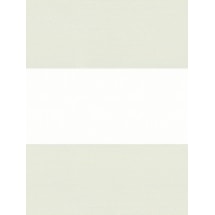 Motif Ivory Electric Vision Day and Night Blind