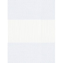 Petra White Electric Vision Day and Night Blind