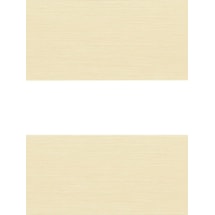 Picturesque Beige Electric Vision Day and Night Blind
