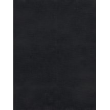Deep Black Daylight Electric Roller Blind