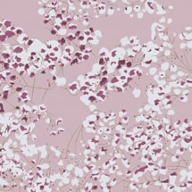 Arla Pink Electric Roller Blind by Lorna Syson