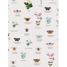 Oxfordshire Wildlife Electric Roller Blind by Lorna Syson