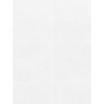 Edelweiss Daylight Electric Roller Blind