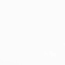 White Blackout Electric Roller Blind