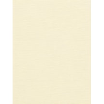 Horchata Daylight Electric Roller Blind