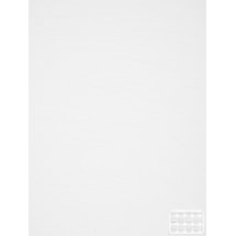 Lace White 3% Sunscreen Electric Roller Blind