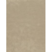 Sparrow Daylight Electric Roller Blind