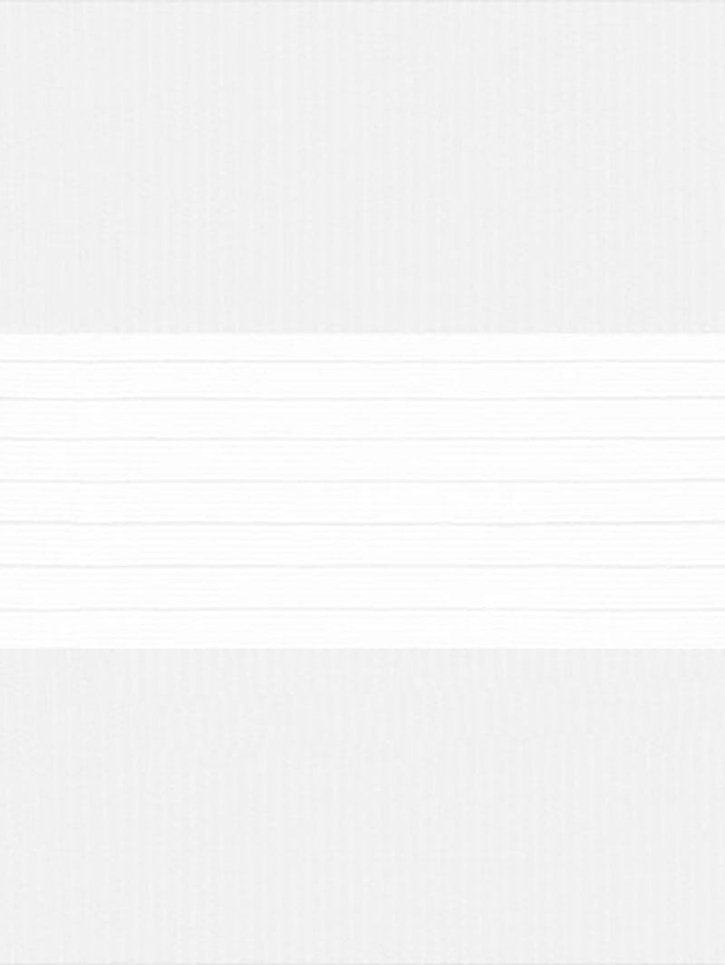 Muse Ice Electric Vision Day and Night Blind