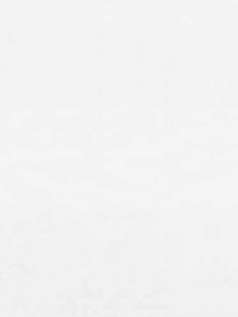 Edition Alabaster Electric Vision Day and Night Blind