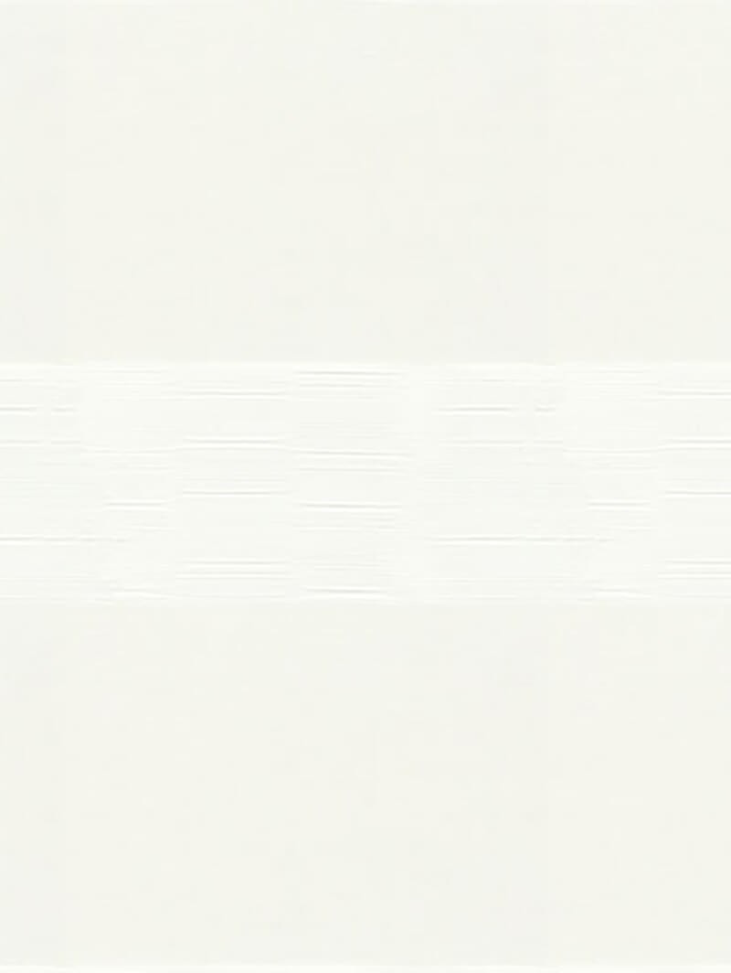 Edition Linen Electric Vision Day and Night Blind