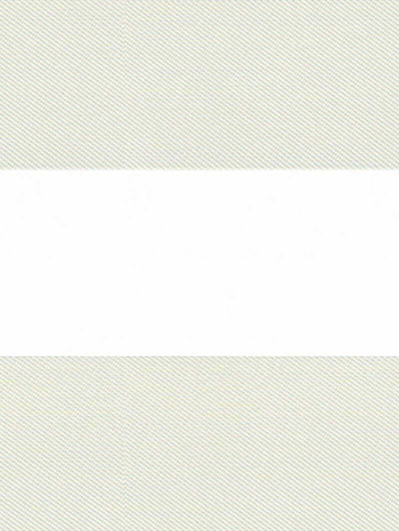 Motif Ivory Electric Vision Day and Night Blind