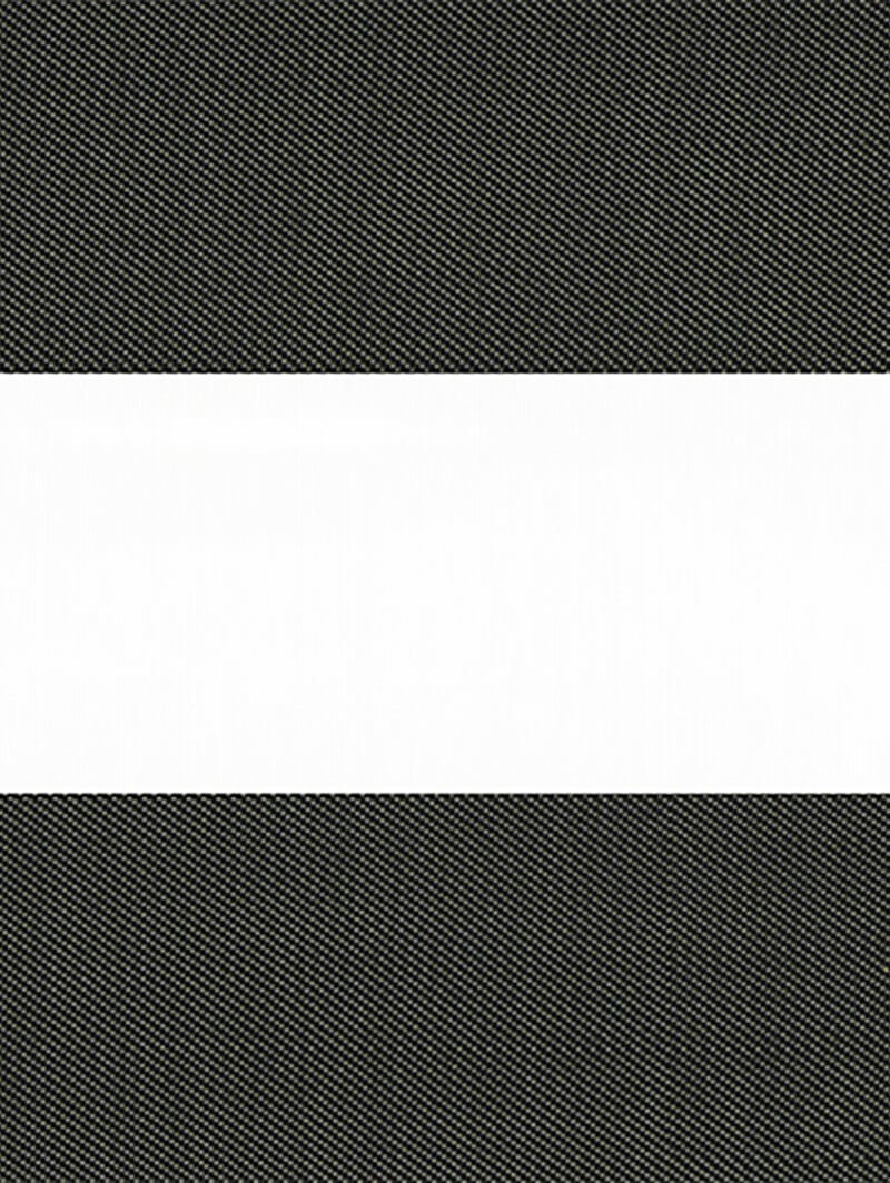 Motif Raven Electric Vision Day and Night Blind