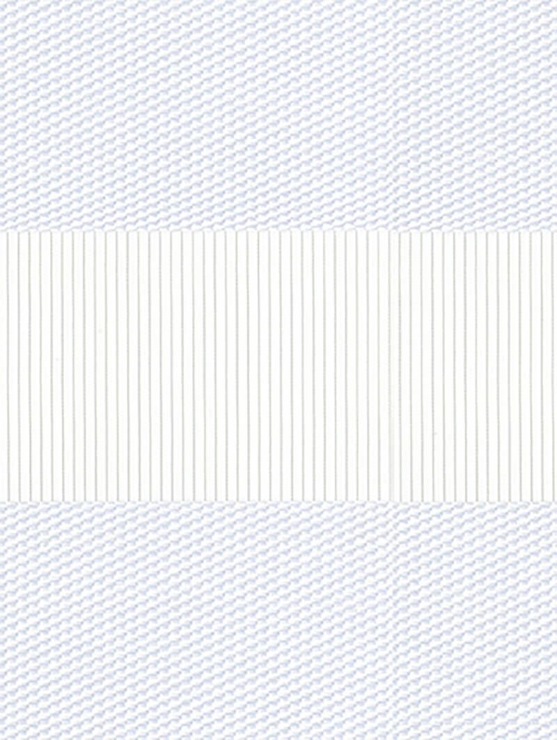 Petra White Electric Vision Day and Night Blind