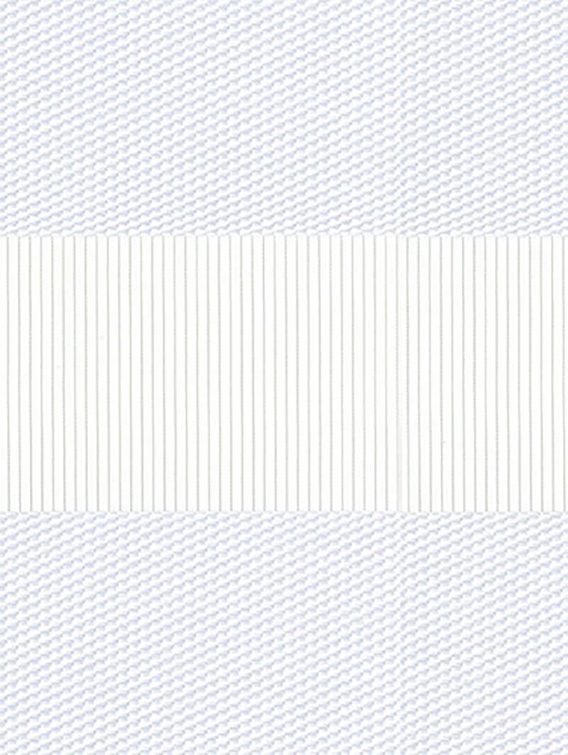 Petra White Electric Vision Day and Night Blind