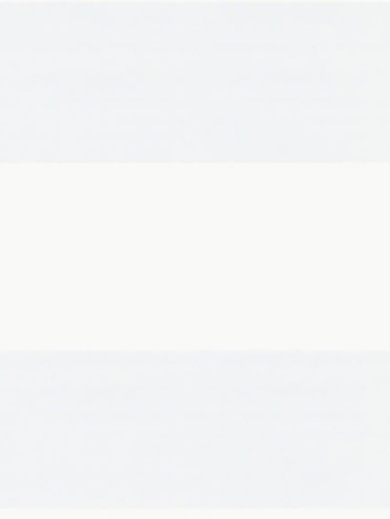 Olympia Frost Electric Vision Day and Night Blind