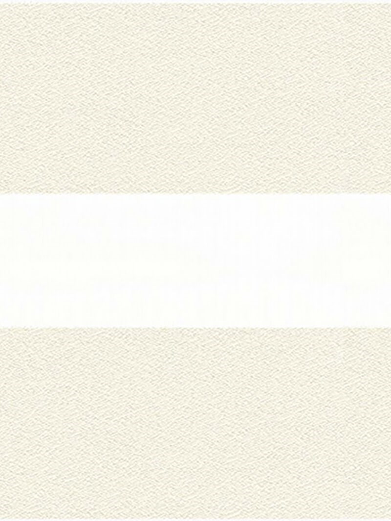 Patina Ivory Electric Vision Day and Night Blind