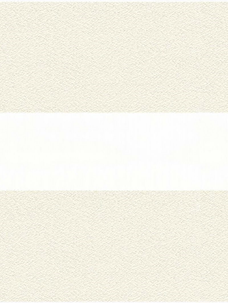 Patina Ivory Electric Vision Day and Night Blind