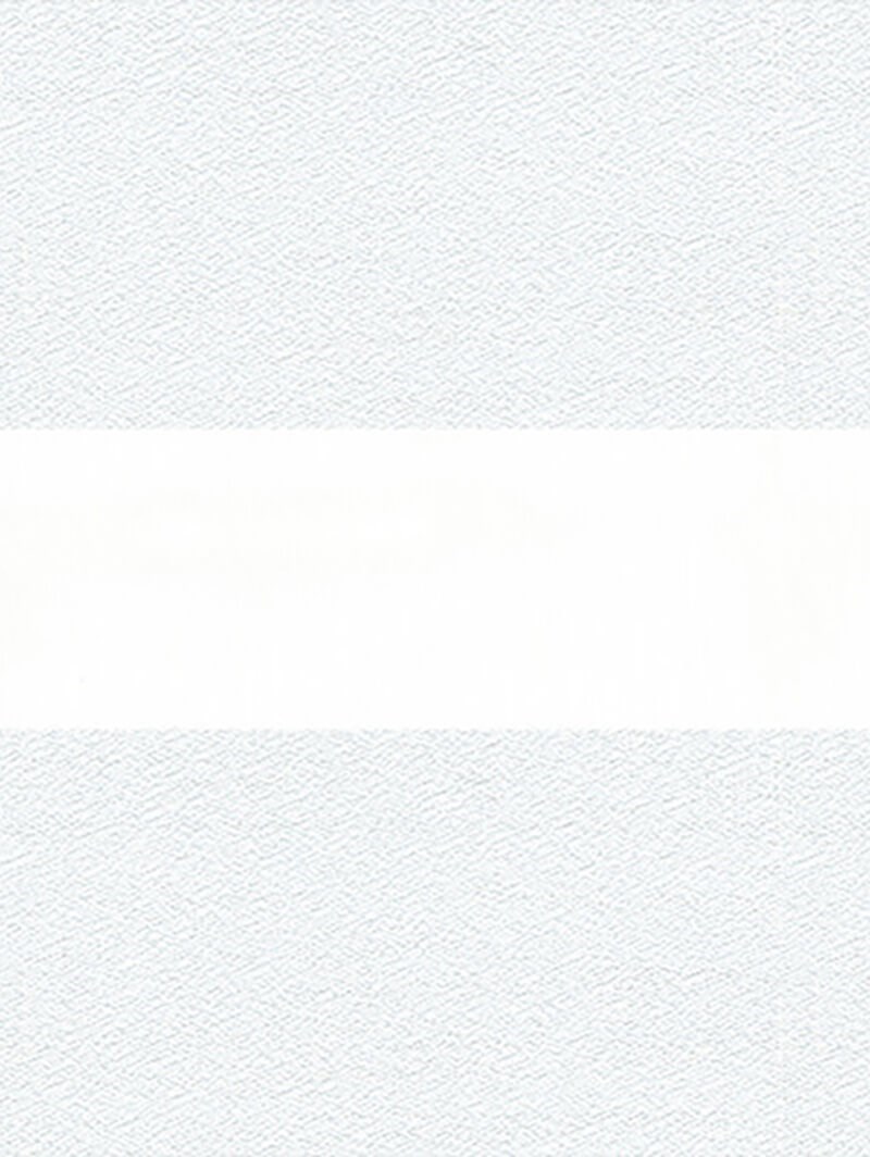 Patina White Electric Vision Day and Night Blind