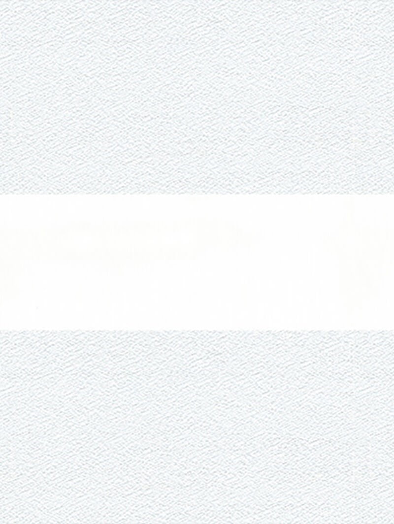 Patina White Electric Vision Day and Night Blind