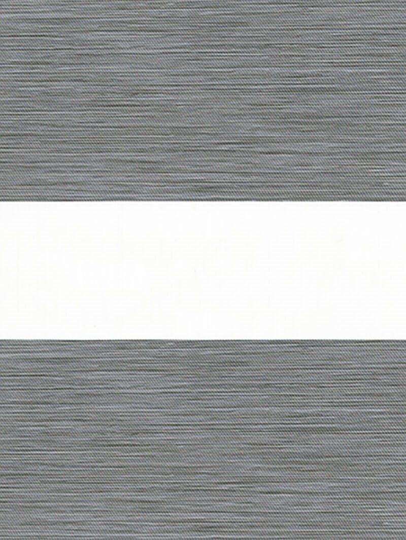 Picturesque Grey Electric Vision Day and Night Blind