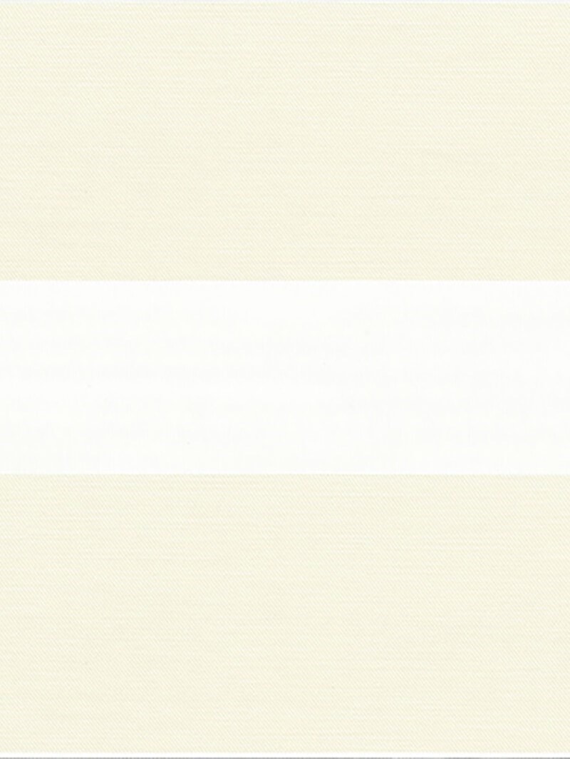 Picturesque Ivory Electric Vision Day and Night Blind