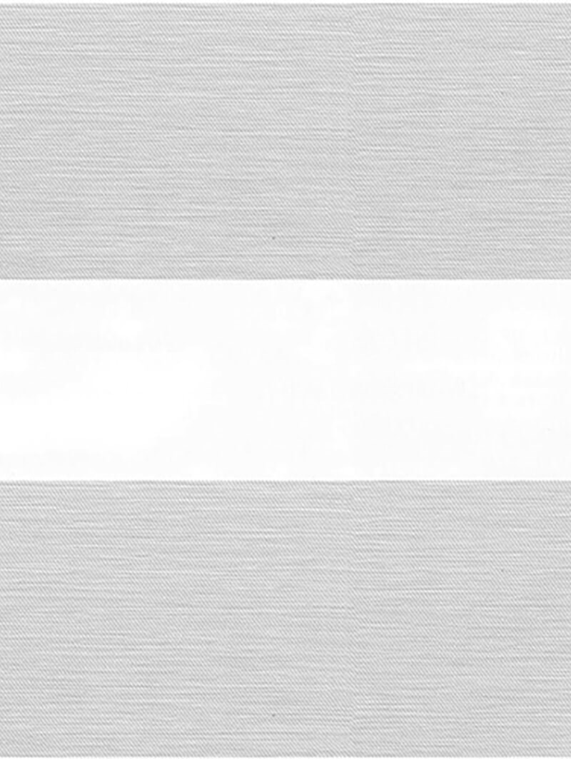 Picturesque Silver Electric Vision Day and Night Blind