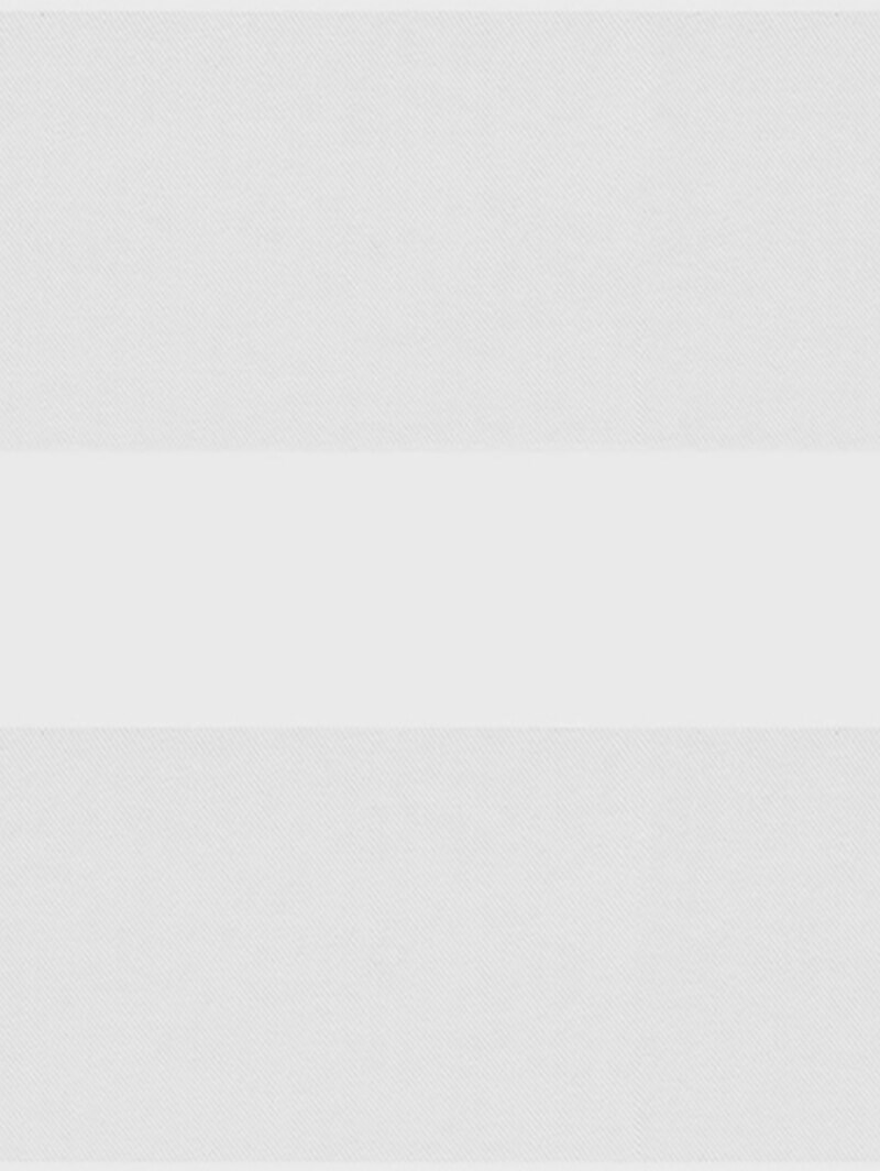 Picturesque White Electric Vision Day and Night Blind