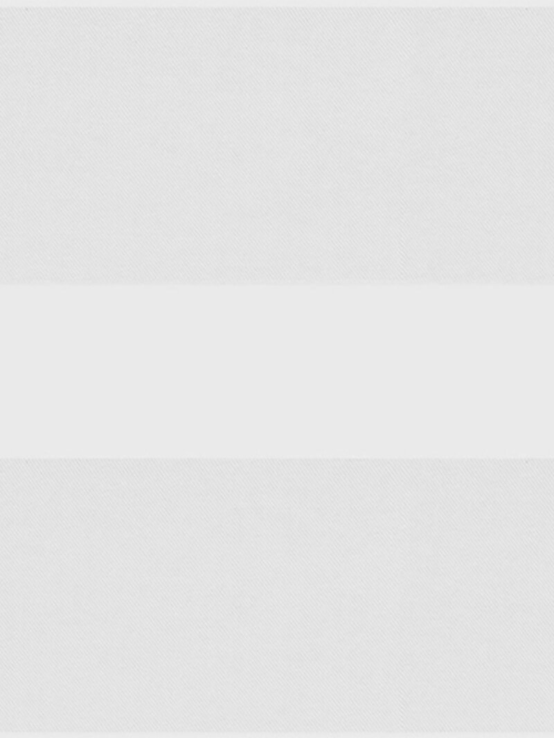 Picturesque White Electric Vision Day and Night Blind