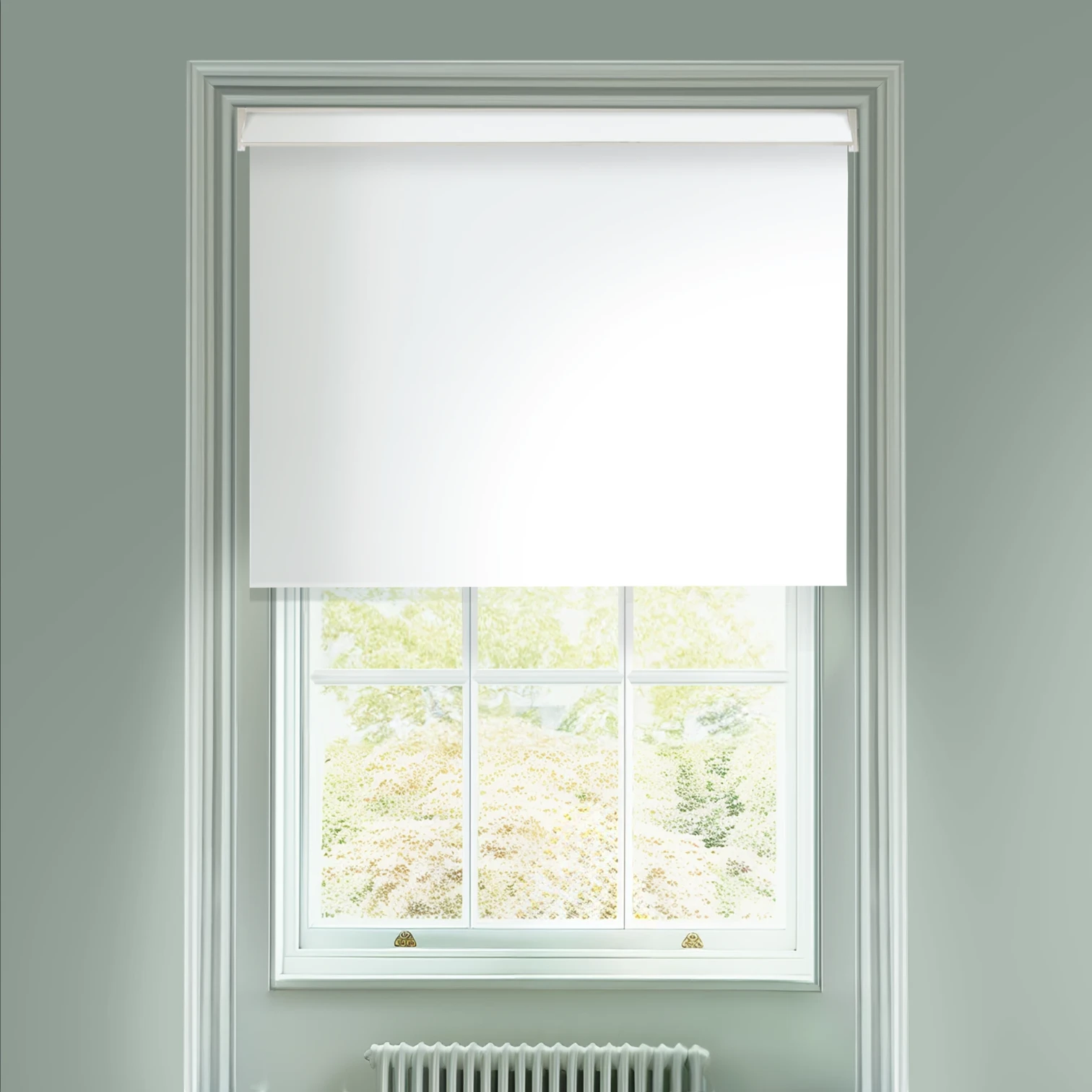 Daisy White Daylight Electric Roller Blind